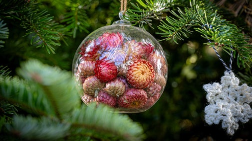 Dried flower decoration